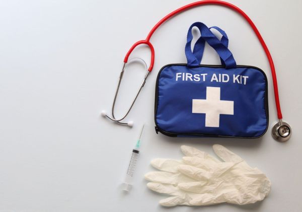 What Are the Essential Items for a Pet First Aid Kit?