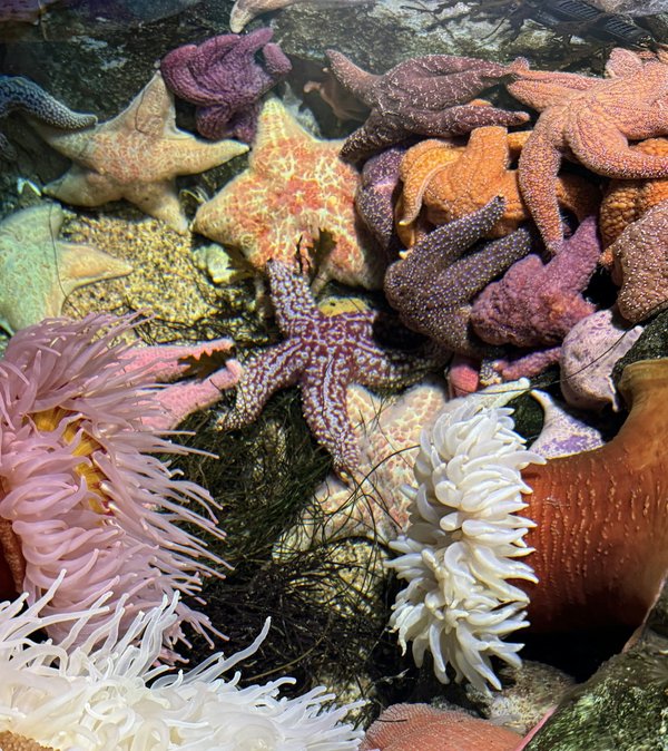 What innovative landscaping solutions can enhance biodiversity in suburban real estate developments?