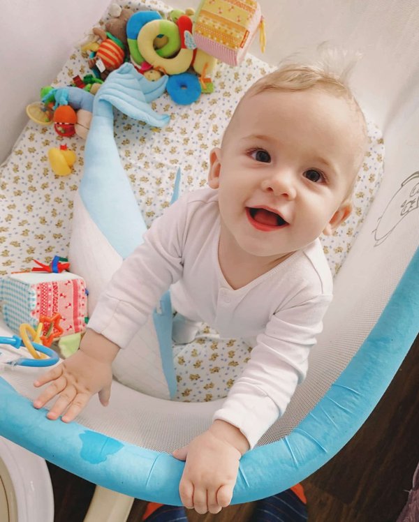 How to Choose the Right Size and Type of Playpen for Puppies and Small Dogs?